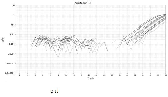 Detection method for molecular typing of O antigens of serotypes such as providencia O19, O20, O28, O30 and like