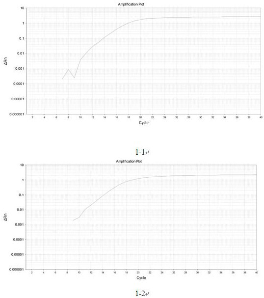 Detection method for molecular typing of O antigens of serotypes such as providencia O19, O20, O28, O30 and like