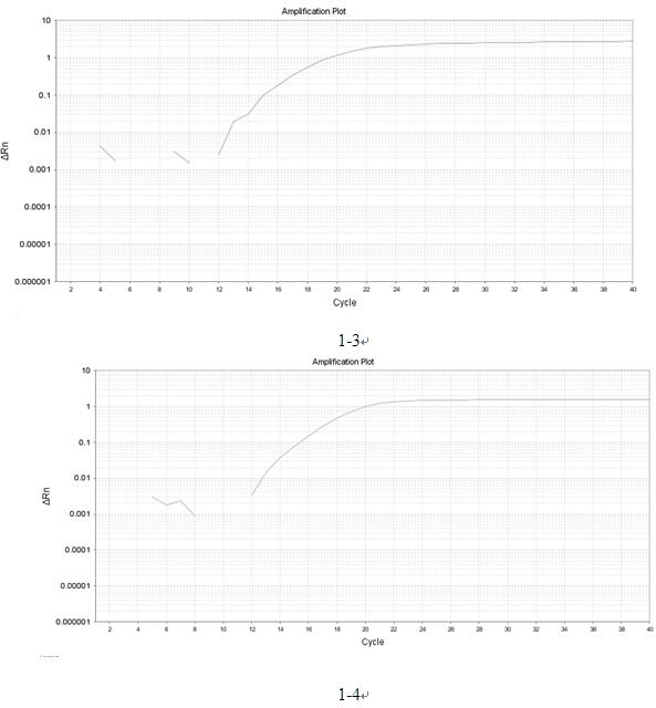 Detection method for molecular typing of O antigens of serotypes such as providencia O19, O20, O28, O30 and like