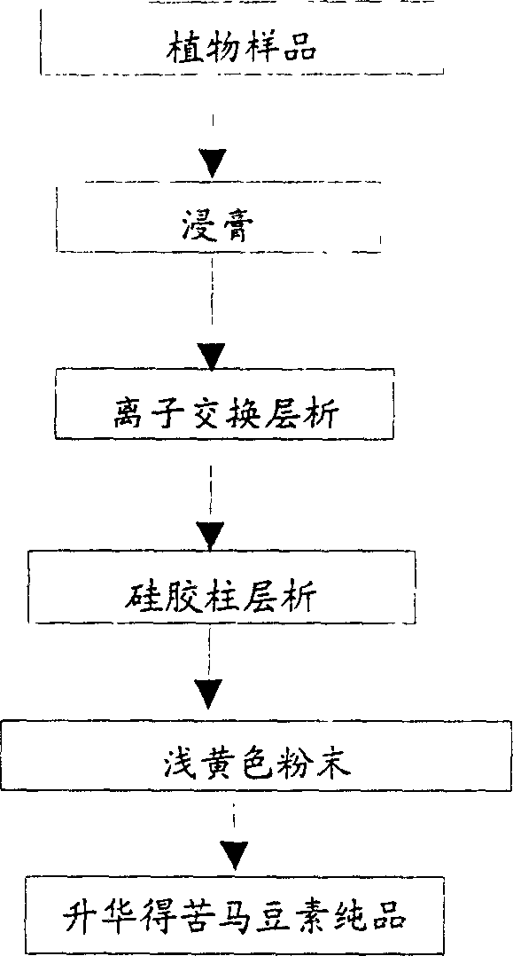 Process for purifying swainsonine in Feng grass