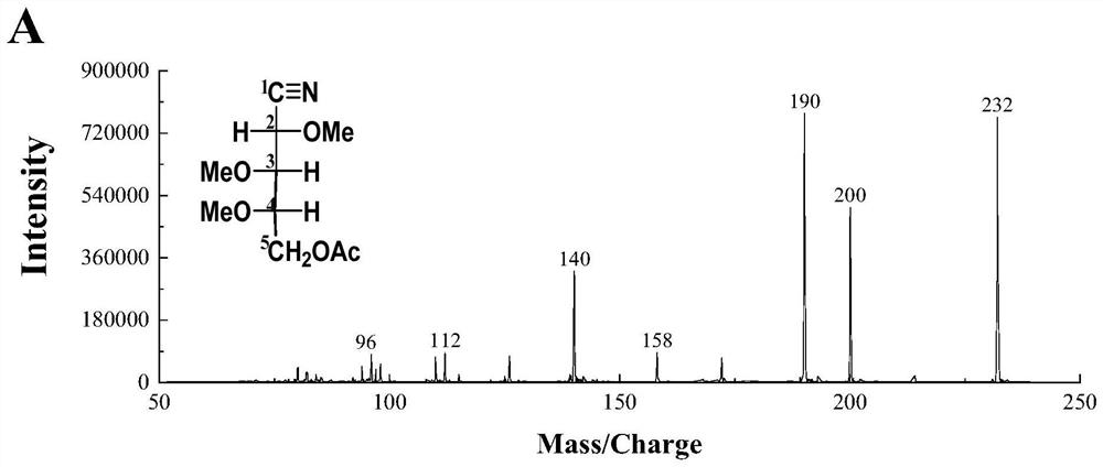 Glucosidic bond connection mode analysis database and construction method and application thereof