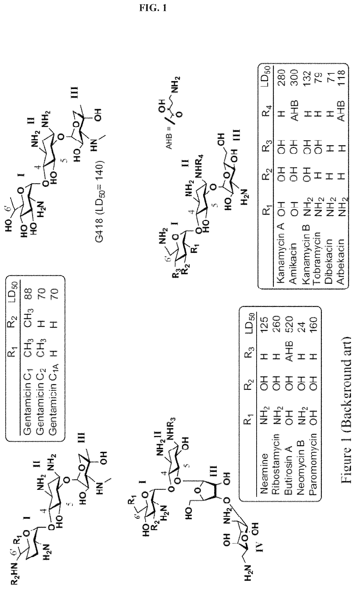 Aminoglycoside derivatives and uses thereof in treating genetic disorders