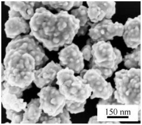 Liquid-phase surface-enhanced Raman spectroscopy sensor, its preparation method and its use for nucleic acid detection