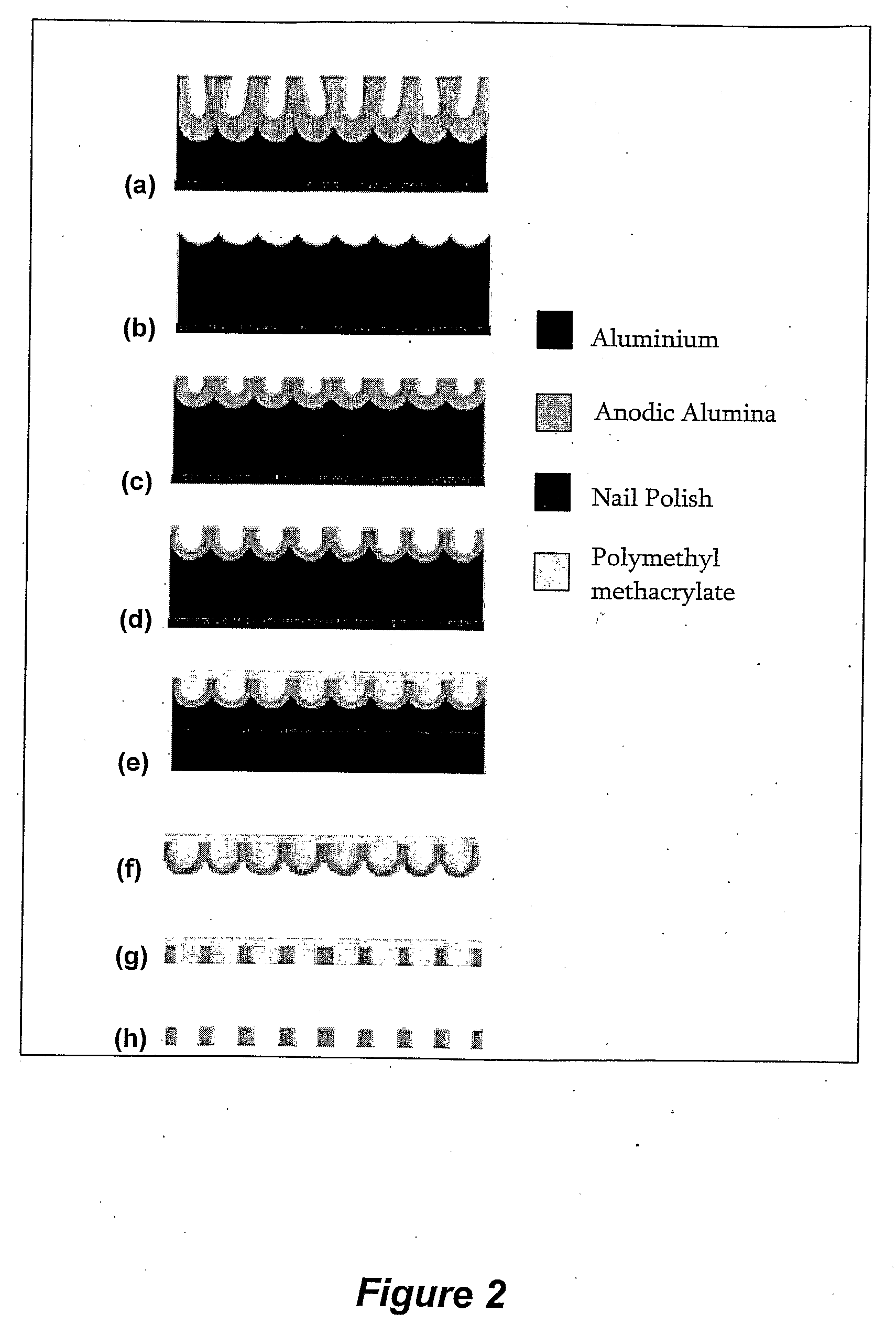 Nanoporous Membrane and Method of Preparation Thereof