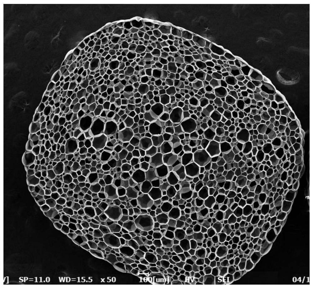 A kind of polyester foam beads and polyester foam beads molded body and preparation method thereof