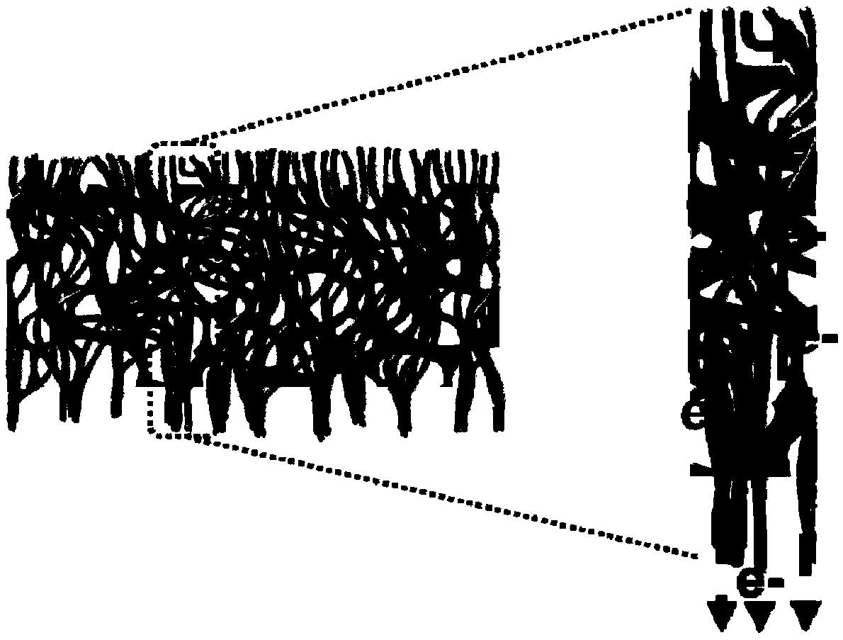 Preparation method and application of arrayed carbon nanotube foam metal composite substrate