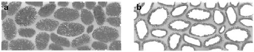 Preparation method and application of arrayed carbon nanotube foam metal composite substrate