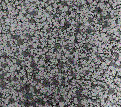 Powder thixoforming preparation method of Al3Tip/Al-based in-situ composite material