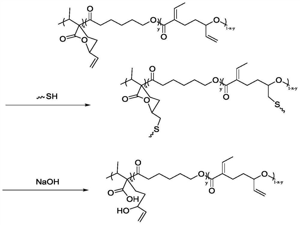 Preparation of functionalized polyesters and polycarbonates by copolymerization of polysubstituted six-membered ring lactones and methods for their post-modification