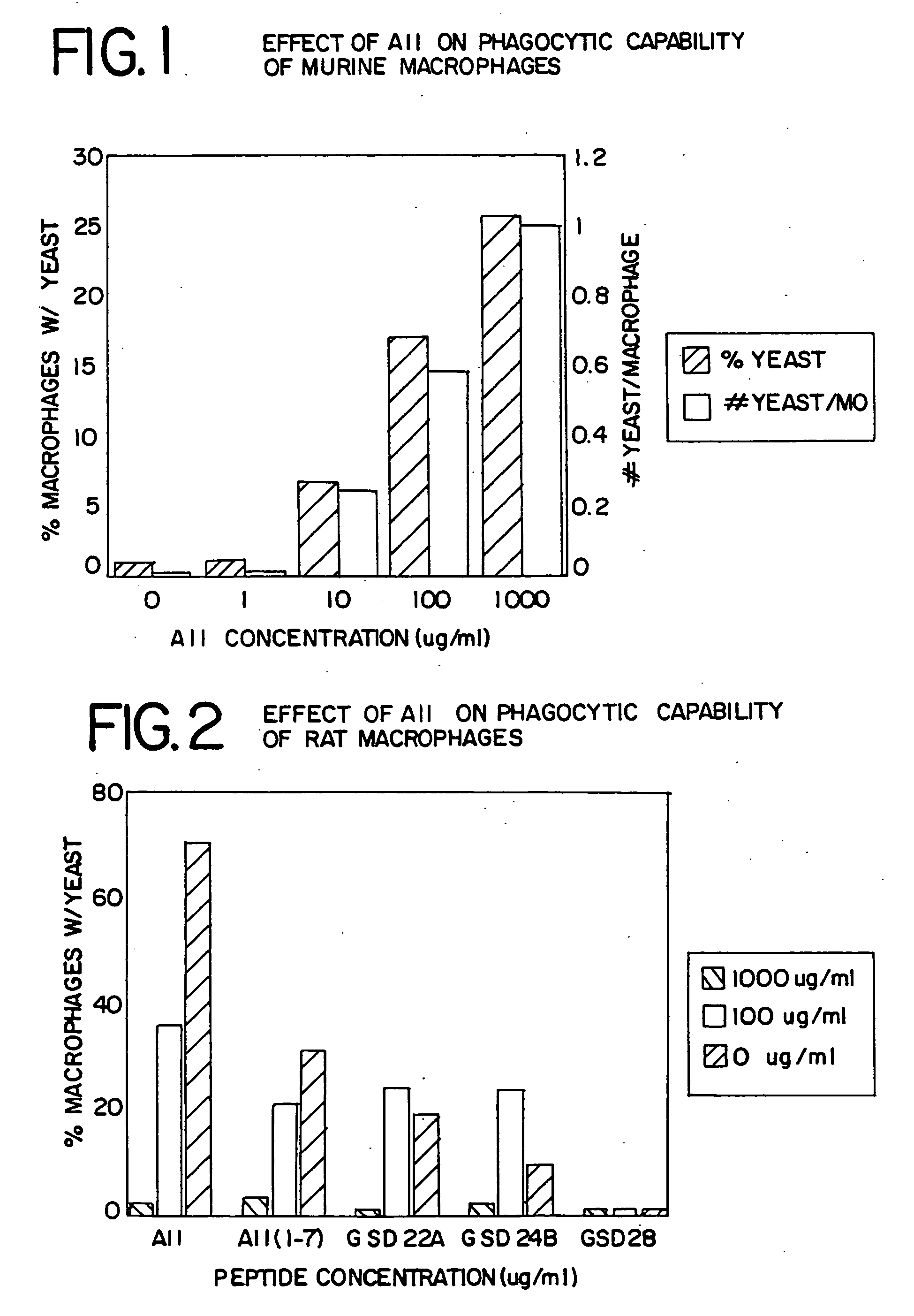 Methods for promoting hematopoietic and mesenchymal cell proliferation and differentiation