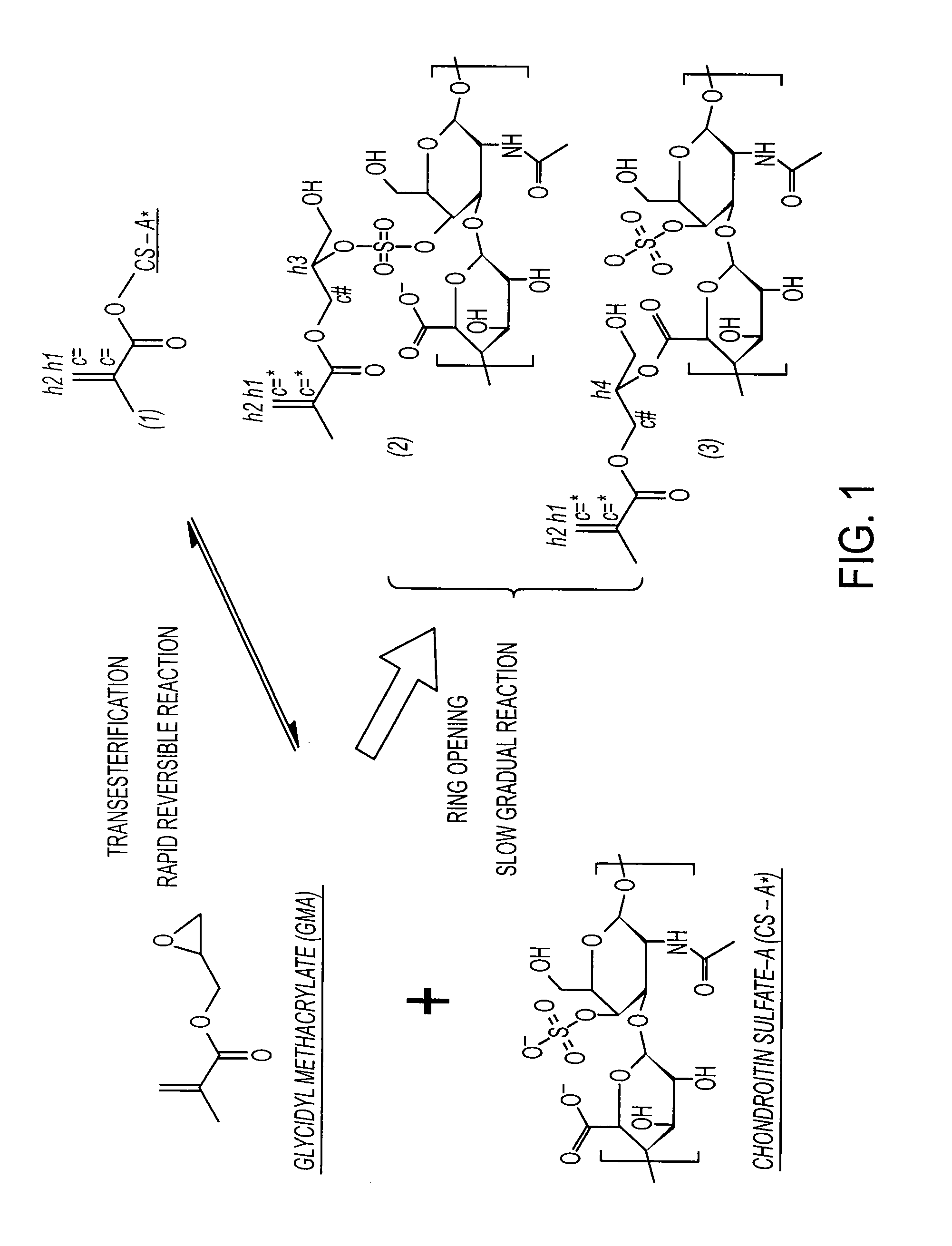 Cross-linked polymer matrices, and methods of making and using same