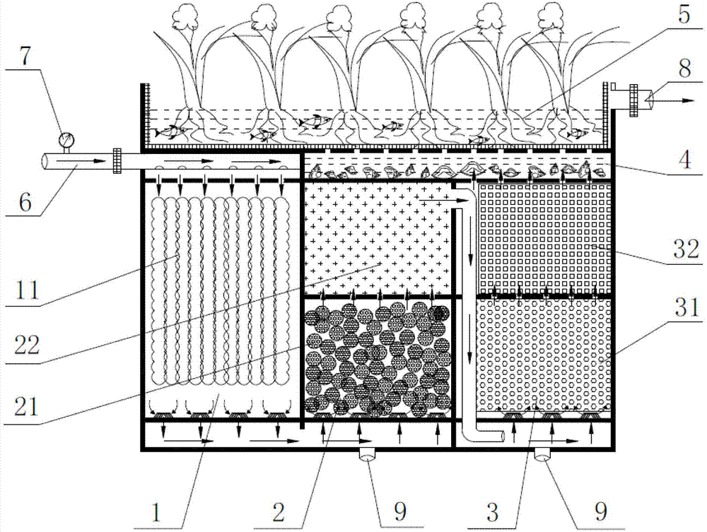 Complex organism filtering system