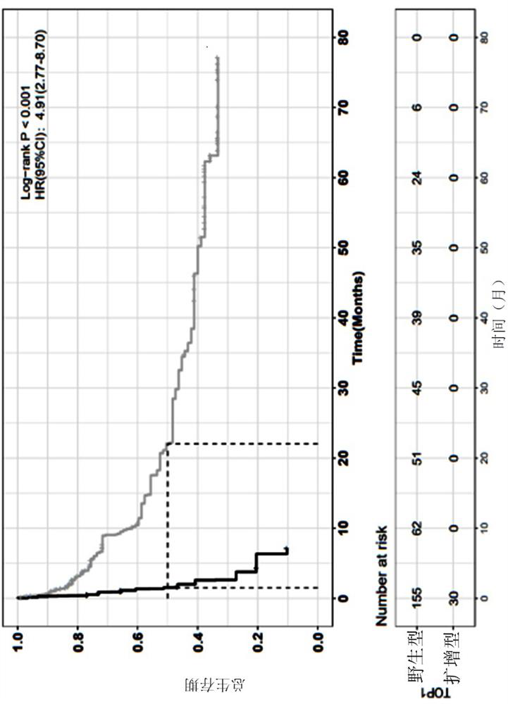 Application of bladder cancer prognosis lifetime marker, evaluation device and computer readable medium