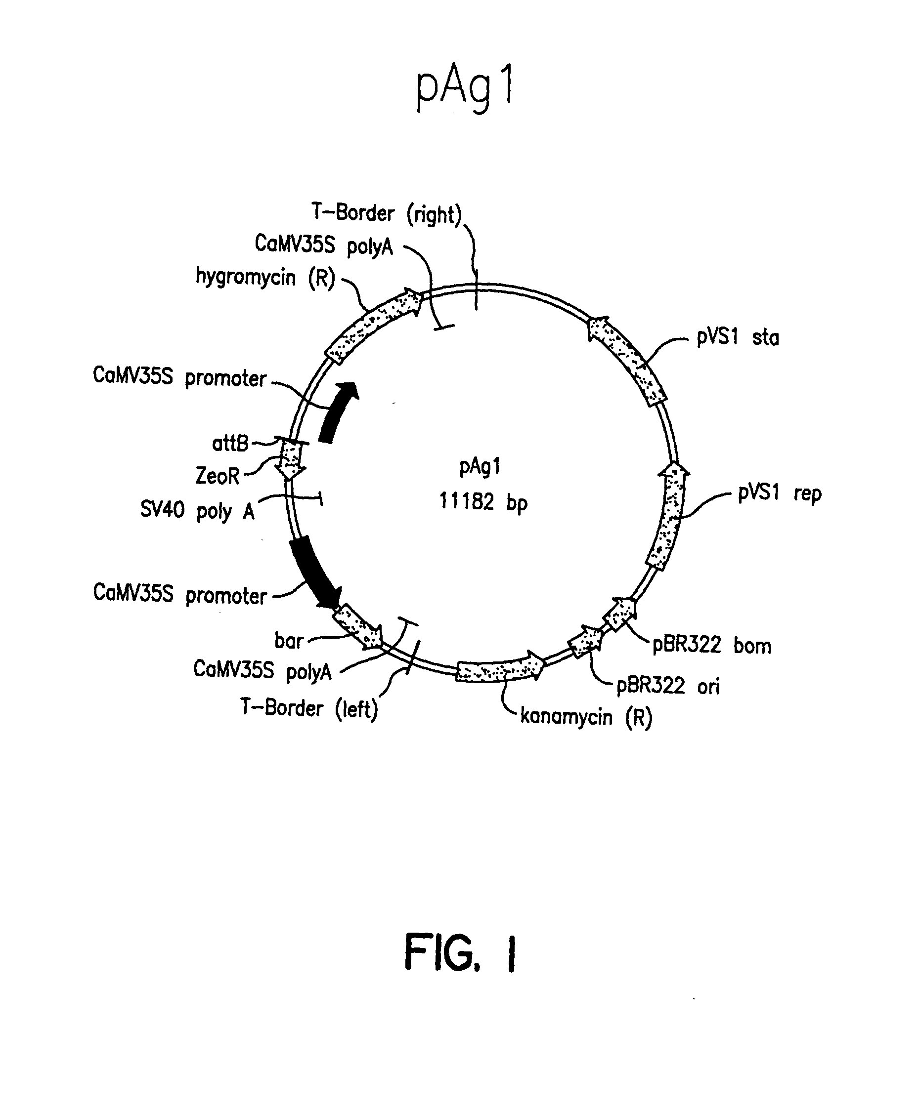 Plant artificial chromosomes, uses thereof and methods of preparing plant artificial chromosomes