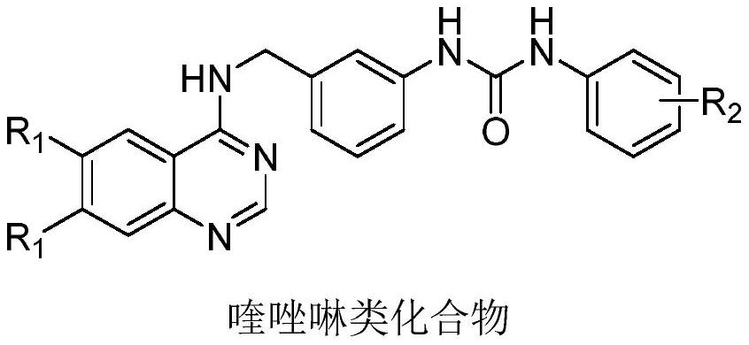 Quinazoline compound and application thereof