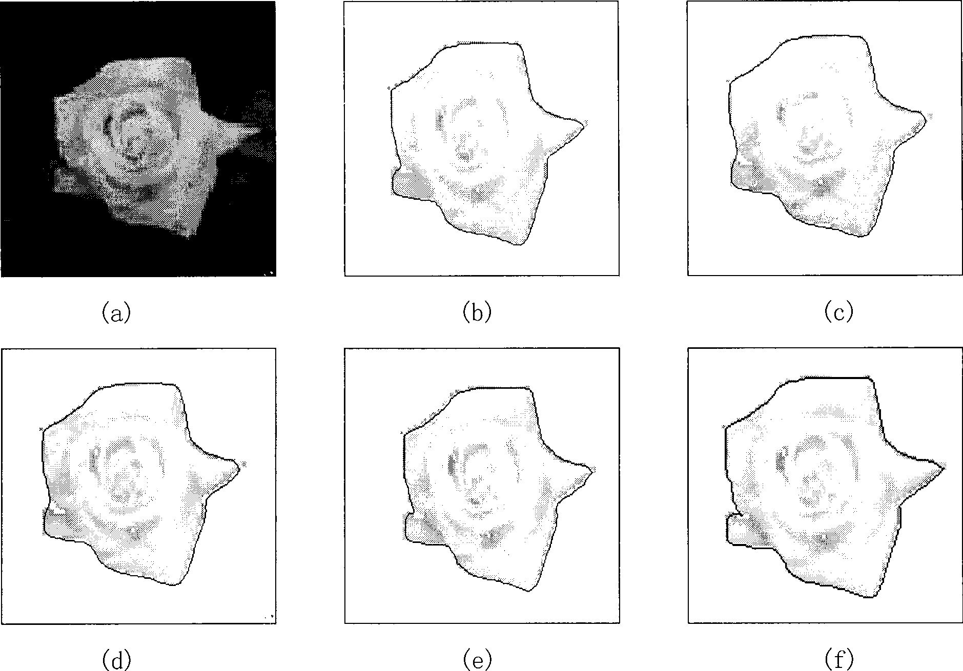 Method for partitioning interested areas in WEB image