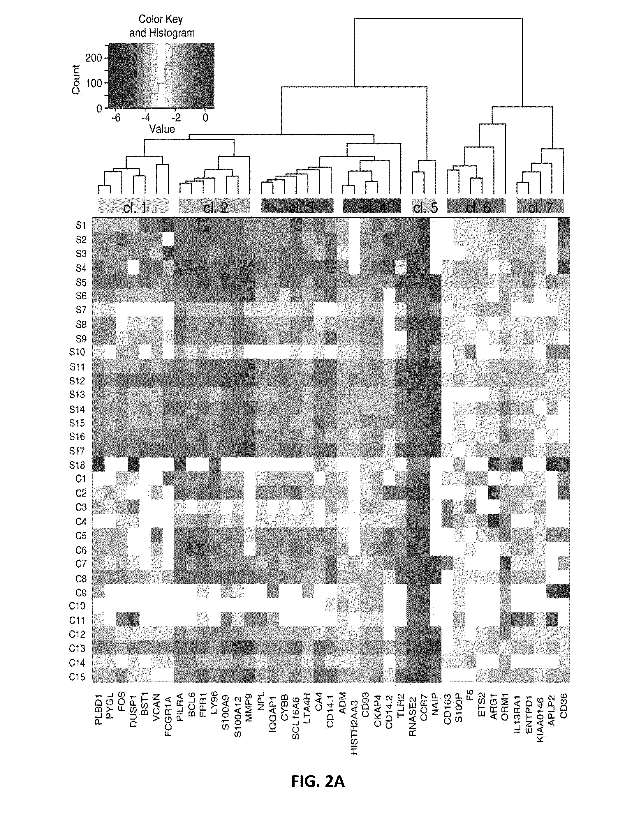 Biomarkers for predicting risk of acute ischemic stroke and methods of use thereof