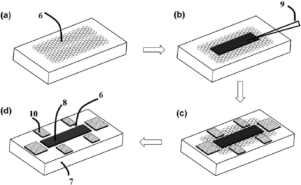 Graphene device capable of realizing spin polarization and preparation method thereof