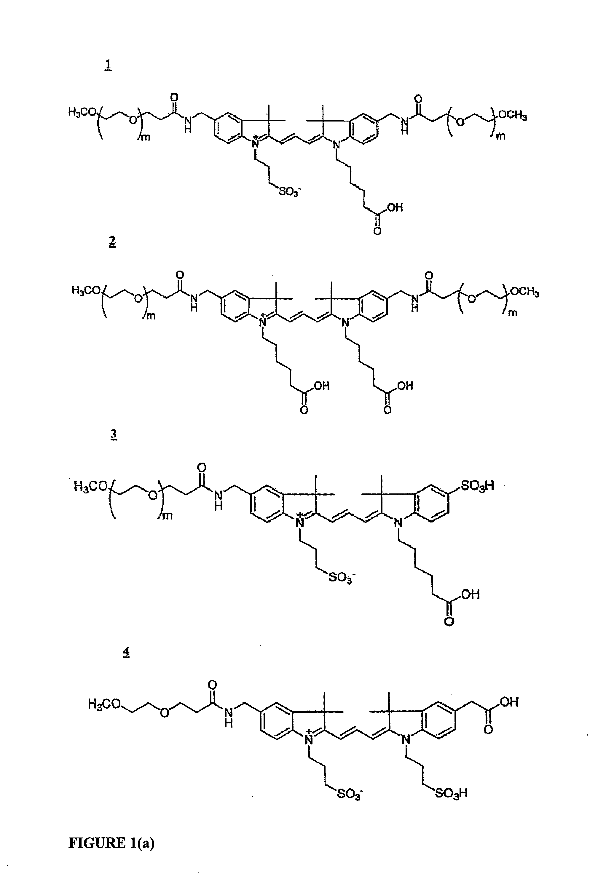 Functionalized cyanine dyes (PEG)