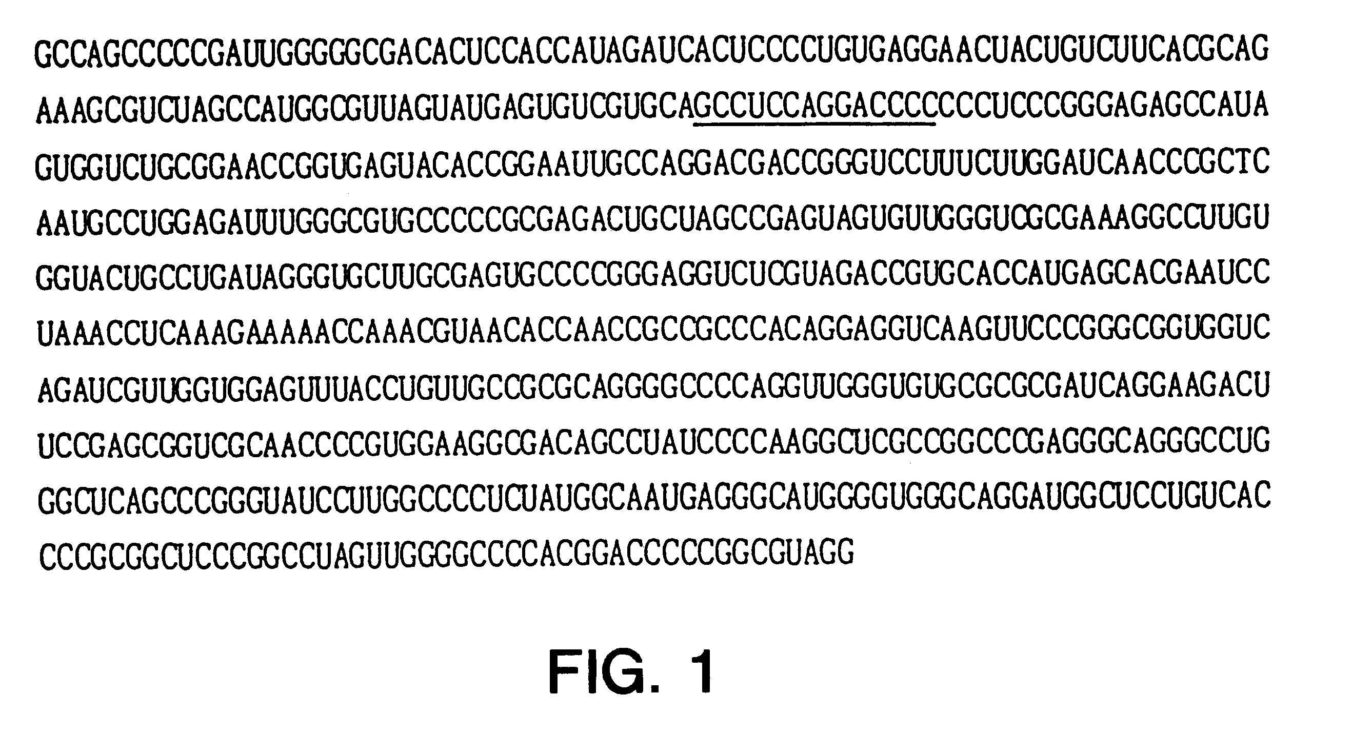 Compositions and methods for treatment of hepatitis C virus-associated diseases