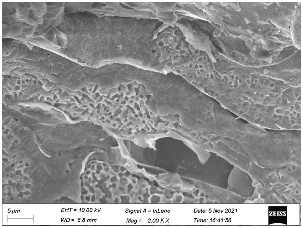 Preparation method of high-entropy rare earth aluminate thermal protection coating