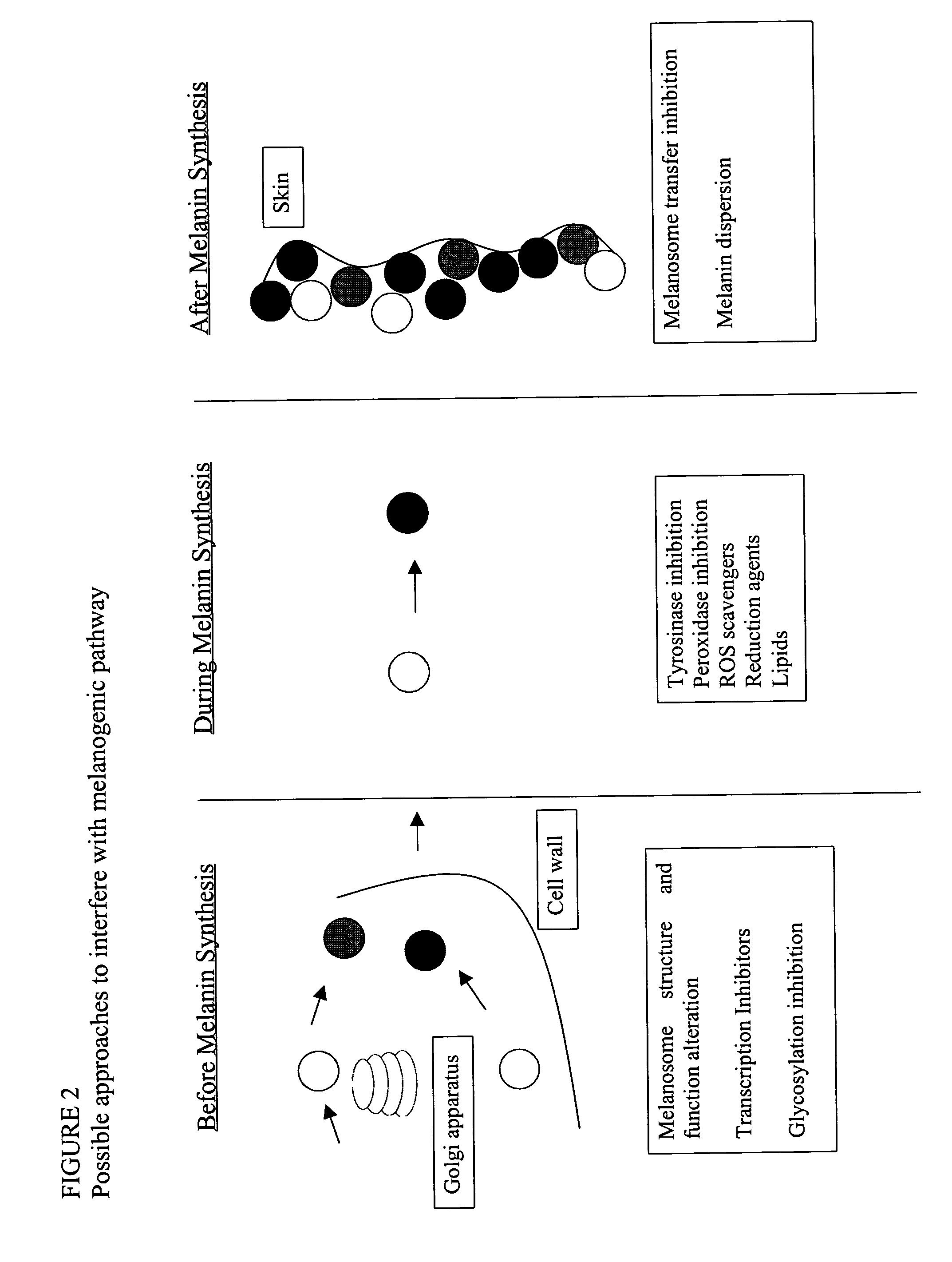 Method and topical composition for the treatment of hyperpigmented skin