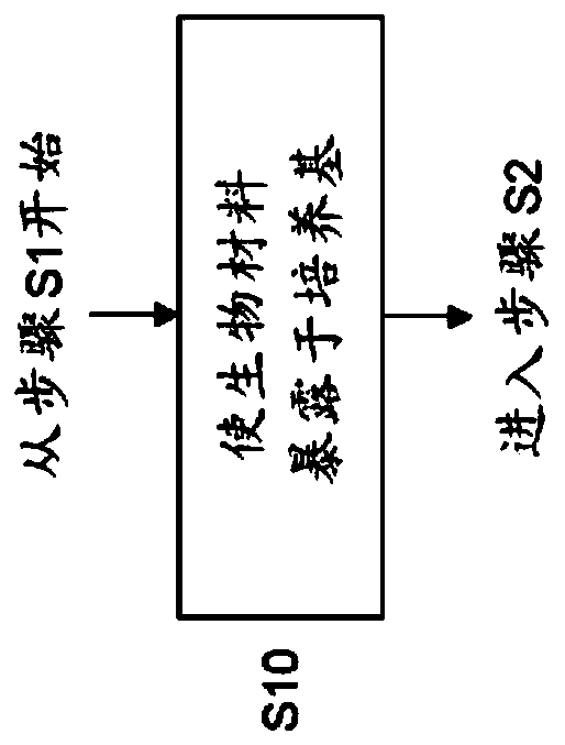 Phenotypic characterization of cells