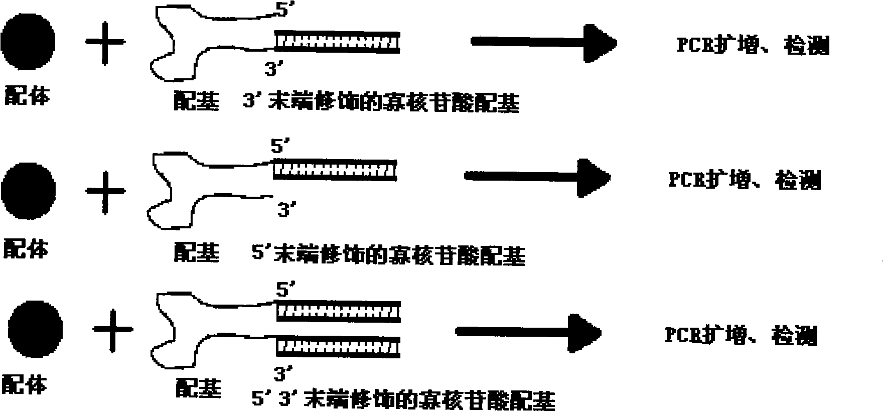 HPV viral antigen, ligand tube-type PCR detection kit, preparation and use thereof