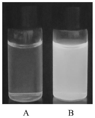 A kind of copper nanocluster fluorescent material and preparation method thereof