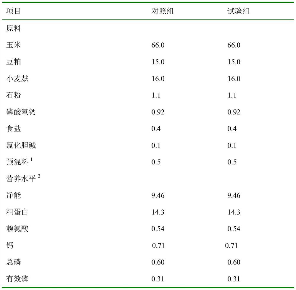 Gestation period feed additive for improving reproductive performance of sows and feed thereof