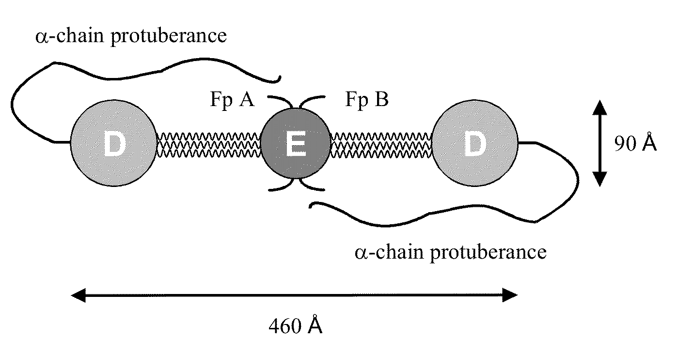 Fibrinogen Assay