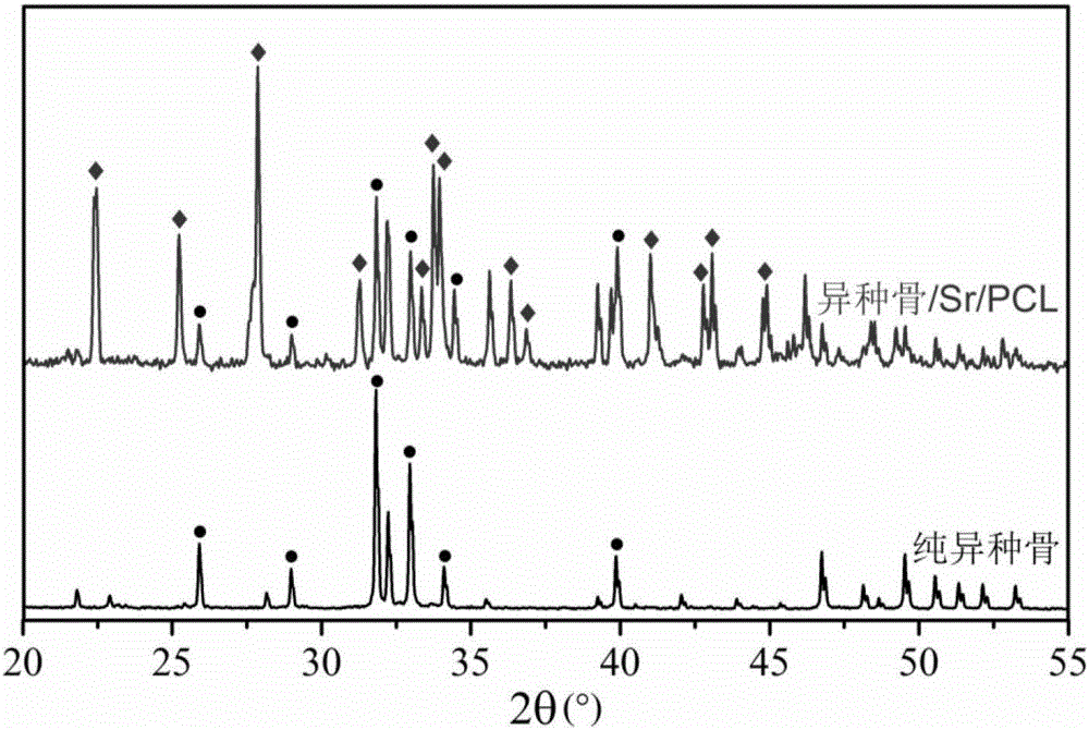 Strontium-containing xenogeneic bone scaffold and preparation method thereof