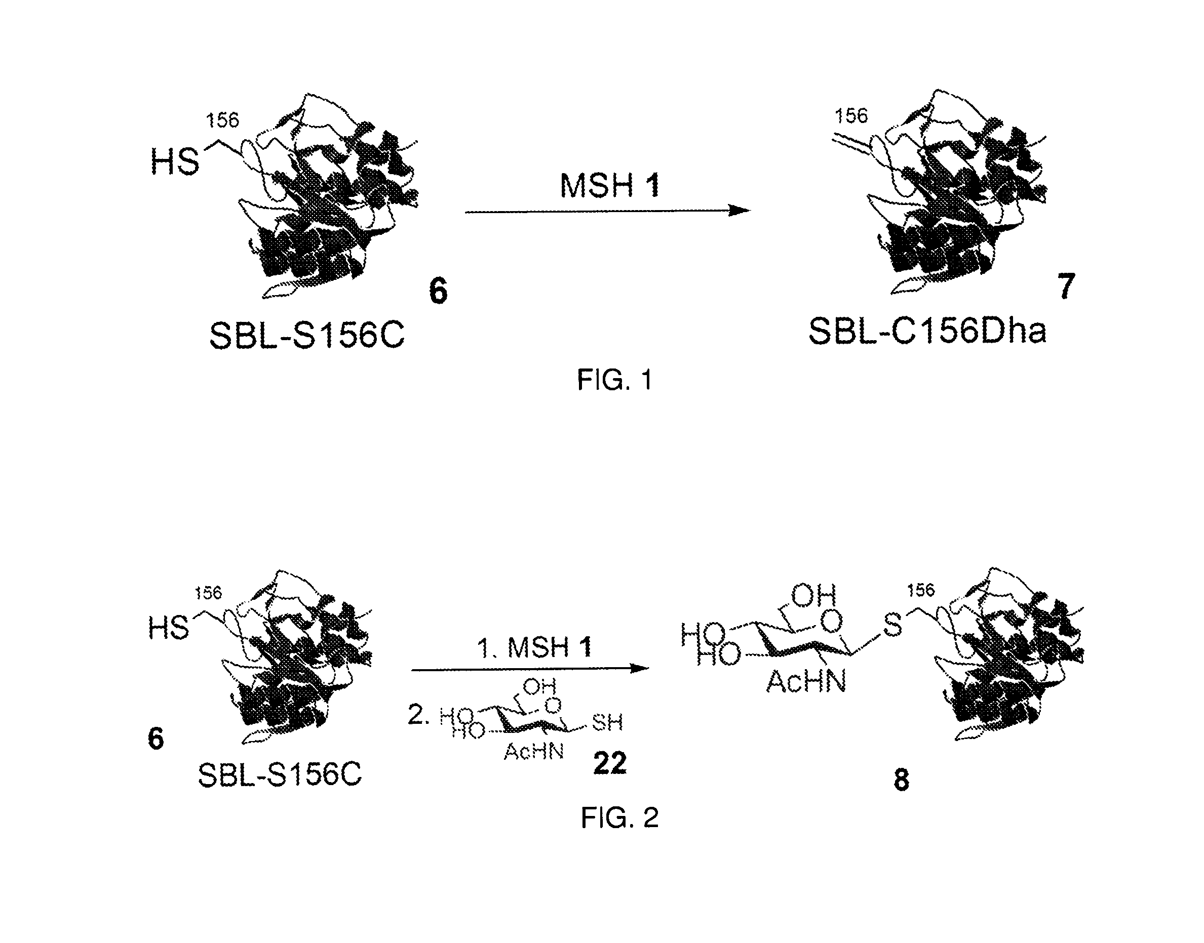 Chemical modification of proteins