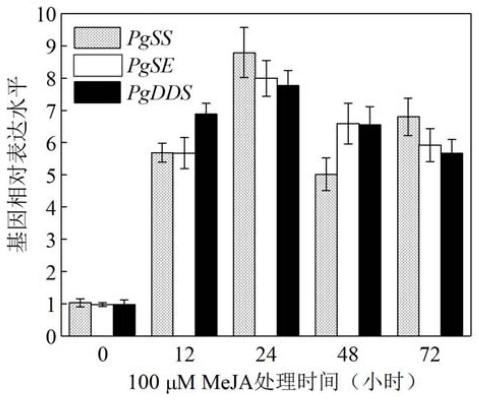 Ginseng PgJAZ1 gene, method for improving protopanaxatriol saponin based on gene and application