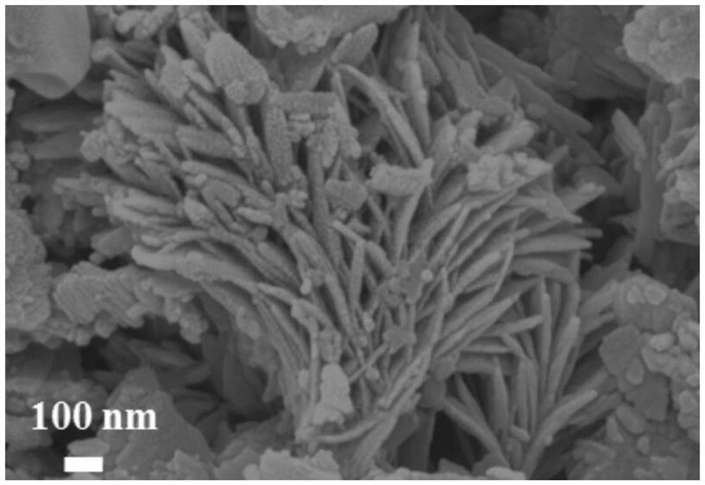 Mo2C and carbon-coated molybdenum-based heterostructure material as well as preparation method and application thereof