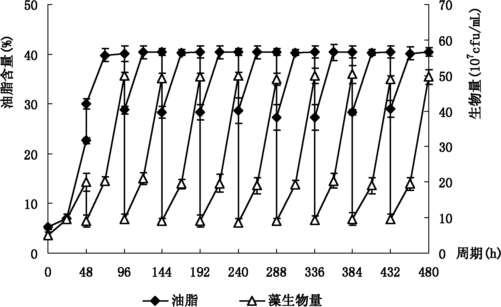 Common chlorella as well as culturing method and application thereof