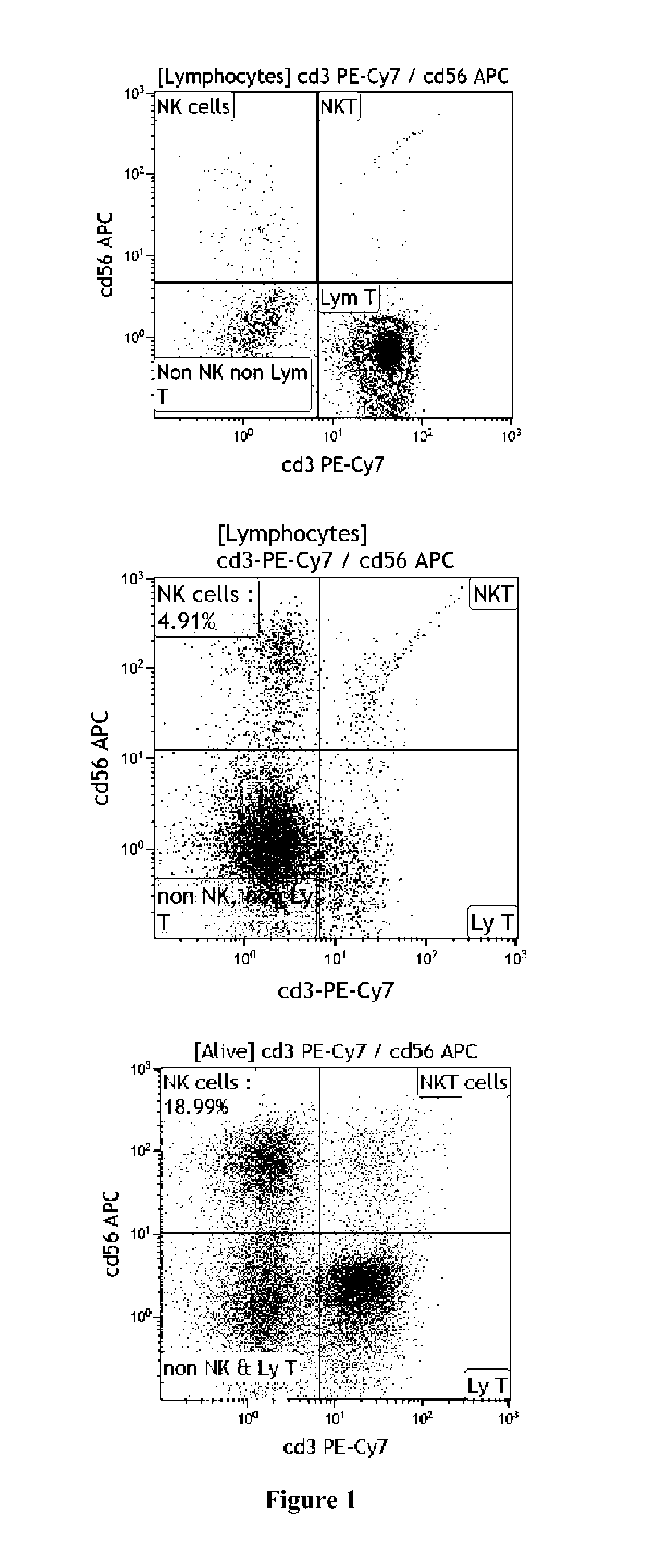 Methods for preparing accessory cells and uses thereof for preparing activated nk cells