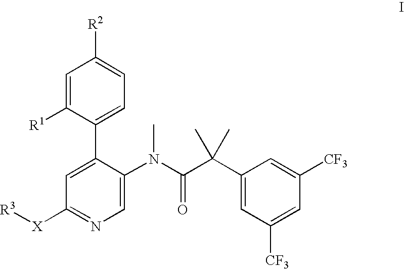 Dual NK1/NK3 receptor antagonists for the treatment of schizophrenia