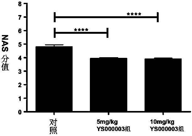 Piperidine medicine for preventing and treating fatty liver diseases and related diseases