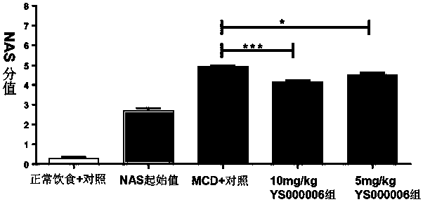 Piperidine medicine for preventing and treating fatty liver diseases and related diseases