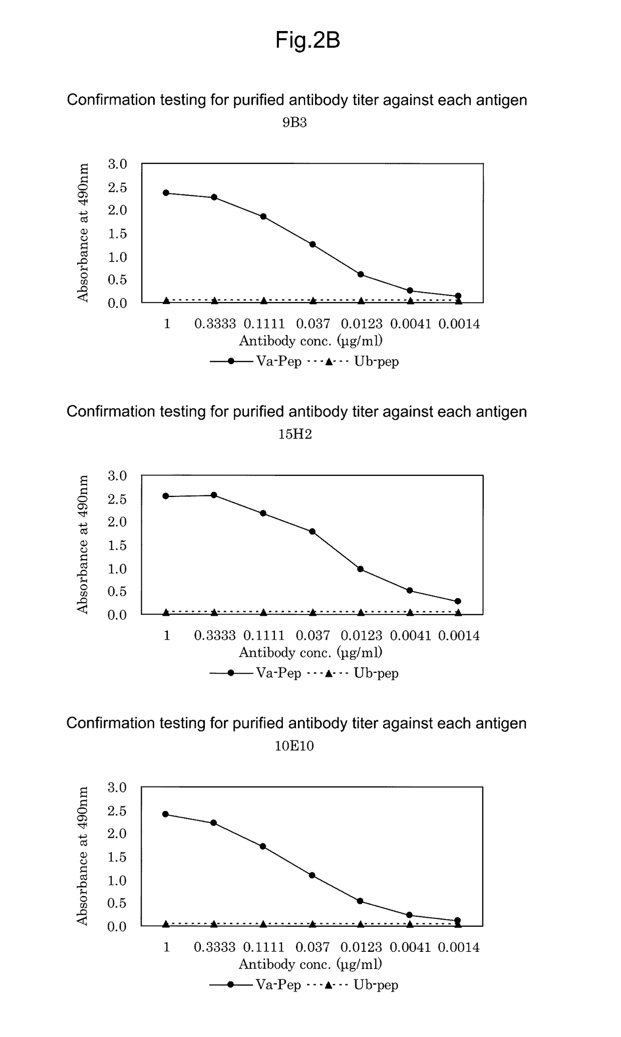 Antibody against mutant α-actinin-4