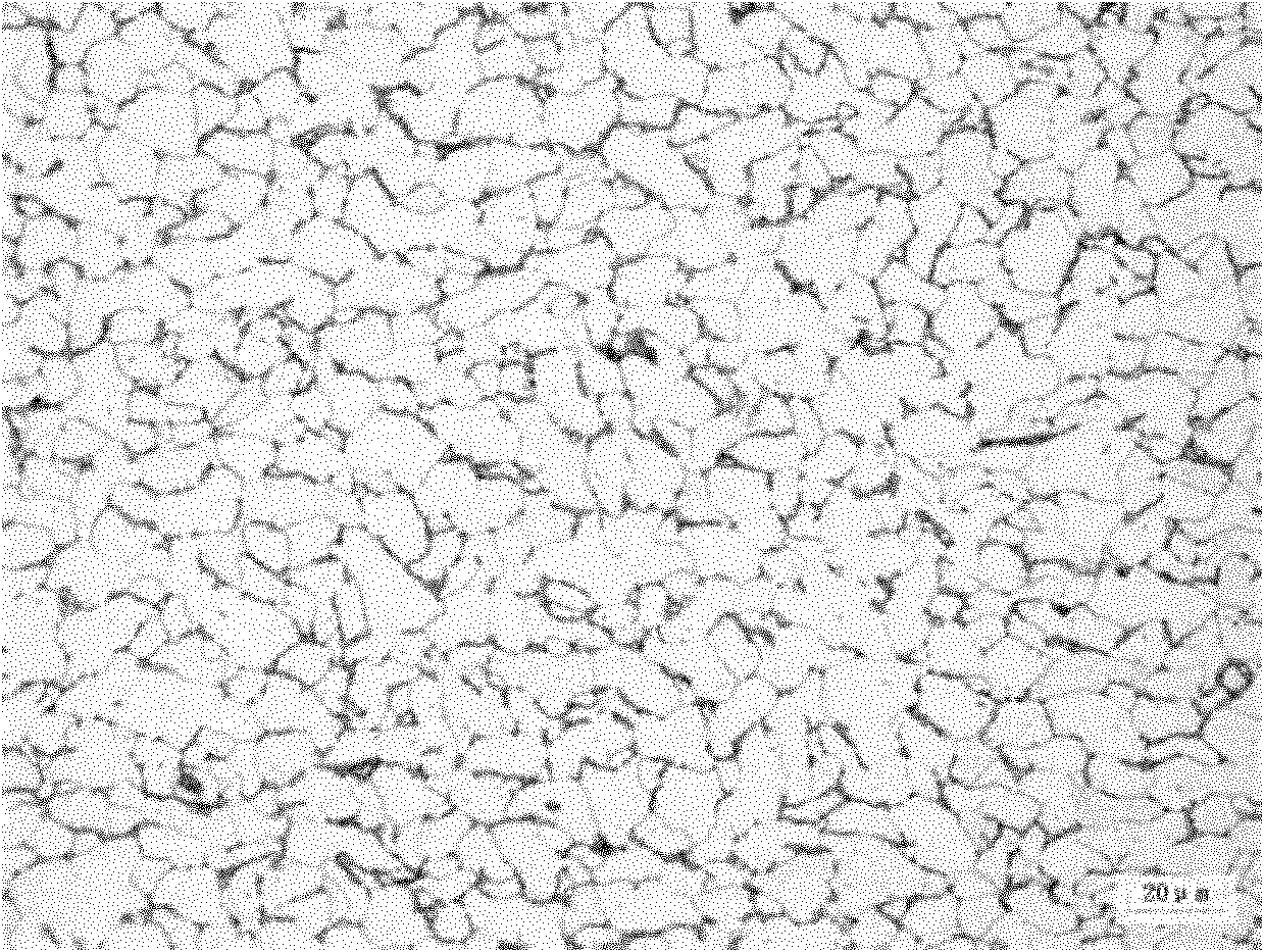 Method for producing hot rolled steel coils