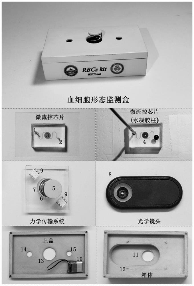 Smartphone imaging analysis system based on finger-pressing type microfluidic platform and application of smartphone imaging analysis system