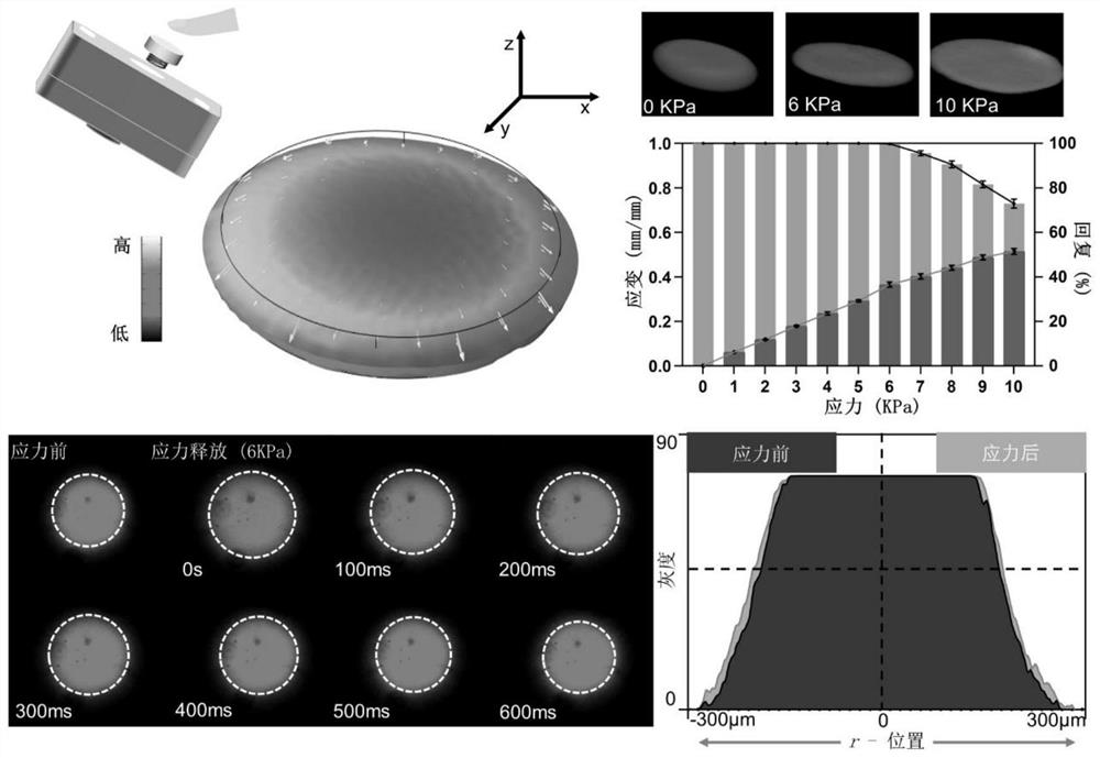 Smartphone imaging analysis system based on finger-pressing type microfluidic platform and application of smartphone imaging analysis system