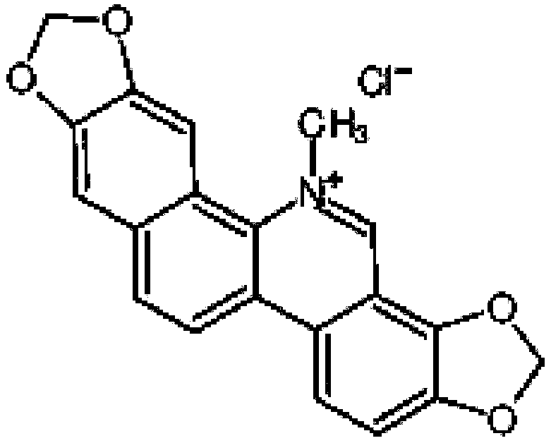 Application of sanguinarine in inhibition and removal of multi-drug-resistant providencia rettgeri biofilm