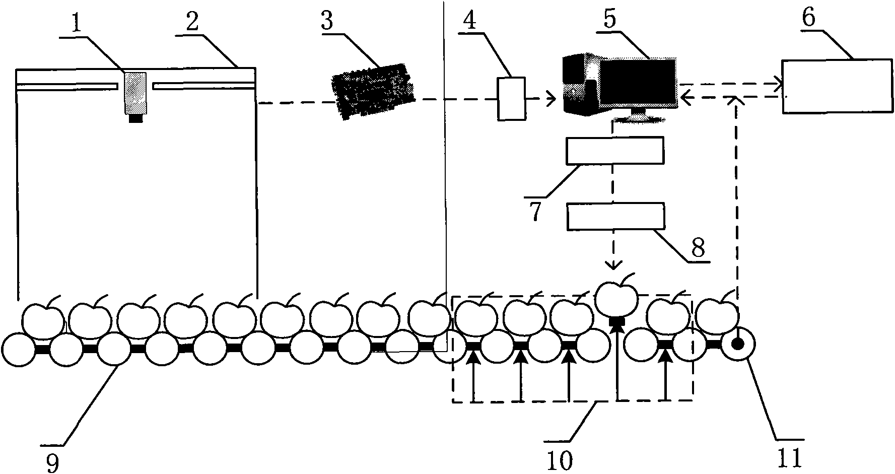 Fruit grading system and method based on DSP machine vision