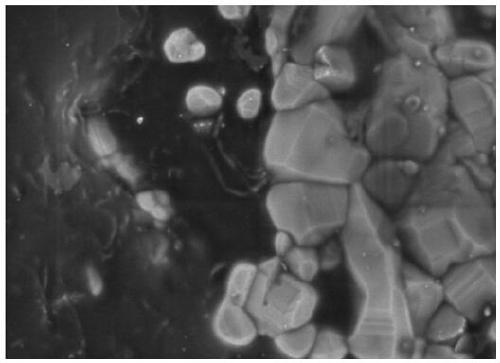 High-thermal-conductivity conductive adhesive prepared from nano-silver modified carbon nanotubes and preparation method of conductive adhesive