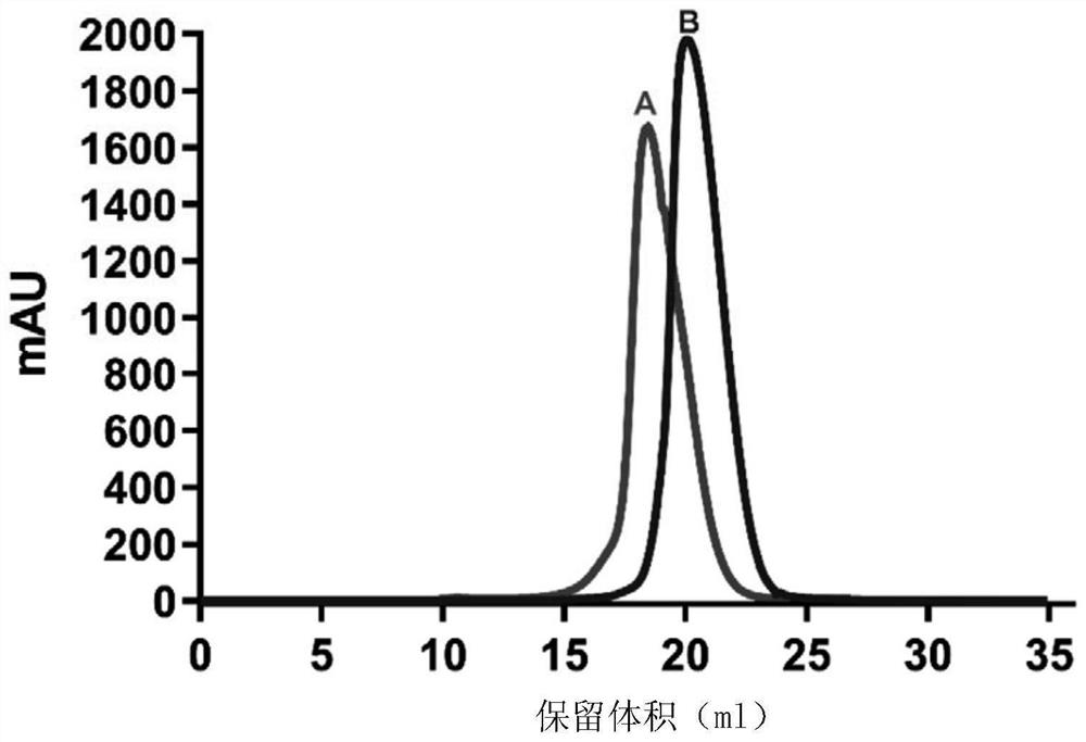 Mers-cov membrane protein receptor binding domain dimer and its encoding gene and application