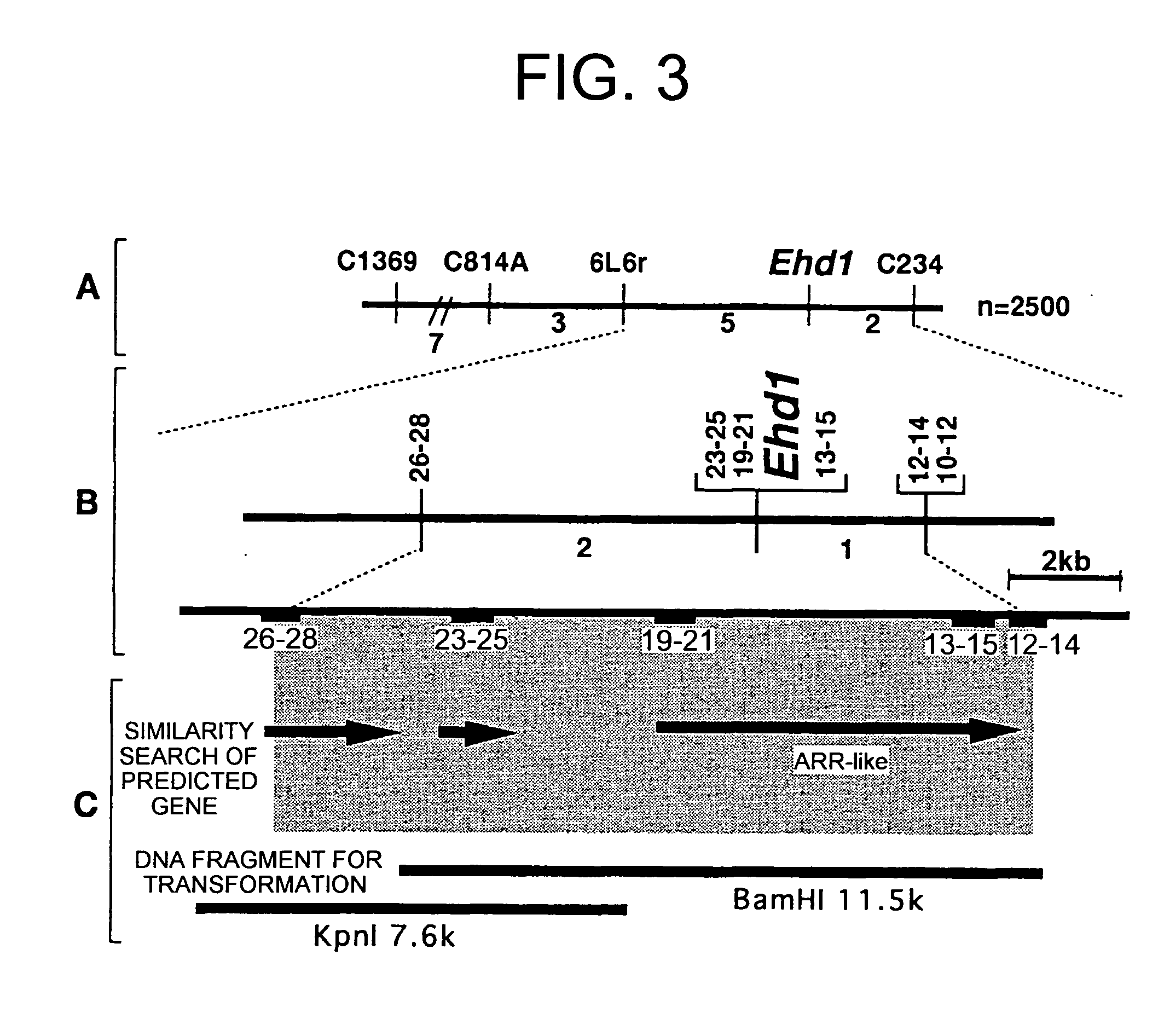 Ehd1gene promoting plant flowering, and utlization thereof