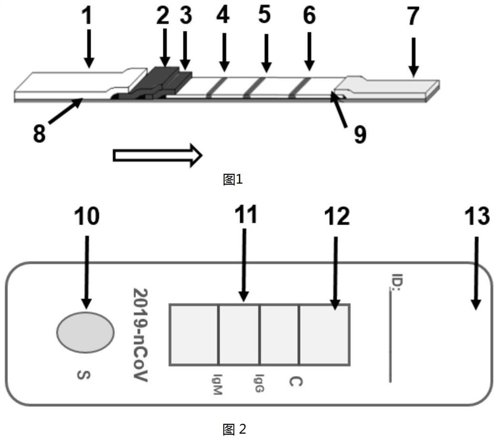 A kind of new colloidal gold detection test paper and its preparation method and application